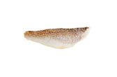 Skin On Pinbone Out Wild Golden Spotted Tilefish Filets