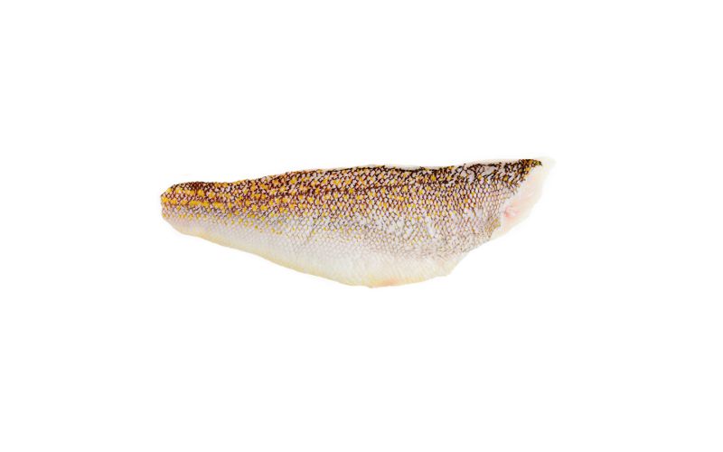 Skin On Pinbone Out Wild Golden Spotted Tilefish Filets