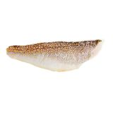 Skin On Pinbone Out Wild Golden Spotted Tilefish Filets