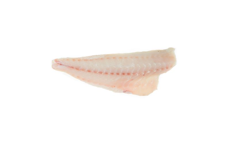 Skin On Pinbone Out Wild Golden Spotted Tilefish Filets