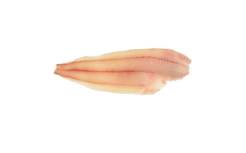 Skin On Pinbone In Wild Atlantic Halibut Filets