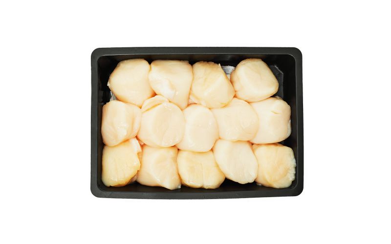 Wild Scallops 10/20
