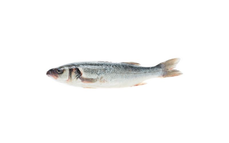 Whole Farmed Loup De Mer Branzino