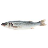 Whole Farmed Loup De Mer Branzino