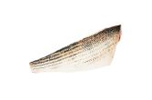 Wild Striped Sea Bass Filets