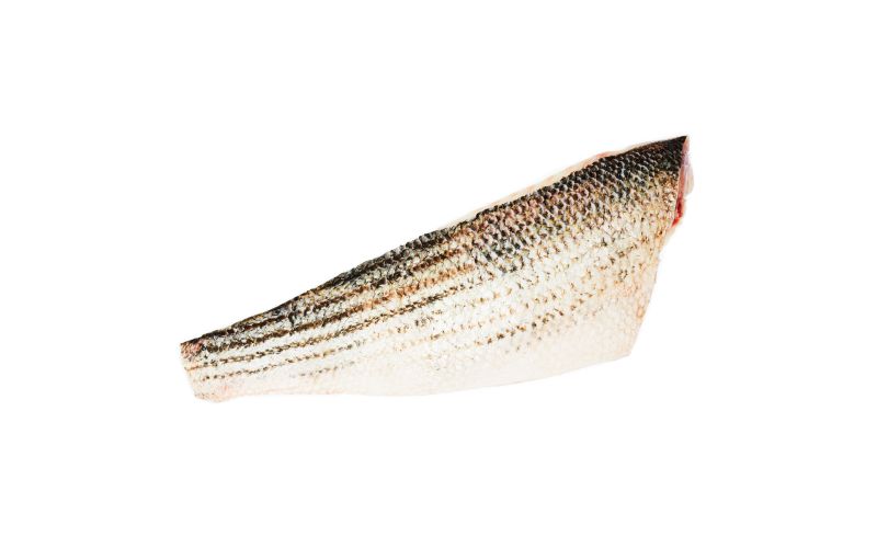 Wild Striped Sea Bass Filets