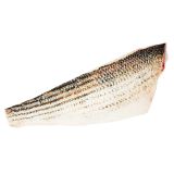 Wild Striped Sea Bass Filets