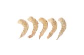 Peeled & Deveined 16-20 Wild Indonesian Shrimp