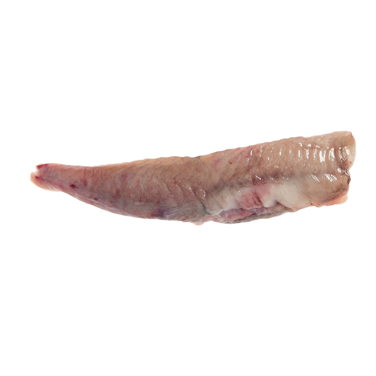 Pinboe Skin On Pinbone Out Wild Long Island Monkfish Filets | Long Island ...