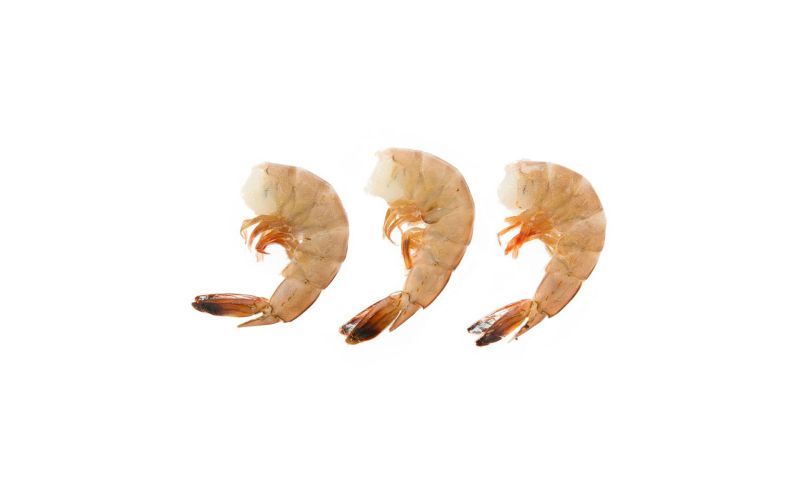 Head Off Shrimp U10