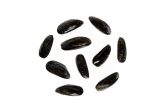Farmed Blue Hill Bay Bouchot Mussels