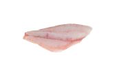 Skin Off Wild Red Snapper Filet
