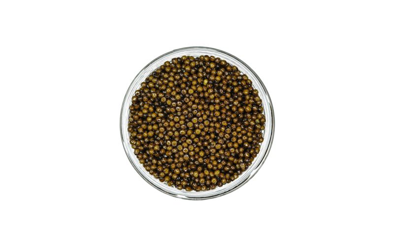 Golden Kaluga Hybrid Sturgeon Caviar