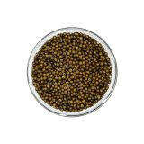 Golden Kaluga Hybrid Sturgeon Caviar