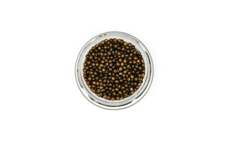 Golden Kaluga Hybrid Sturgeon Caviar