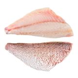 Filleted Wild Madai Snapper