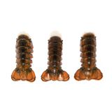 Frozen 4-6 OZ Lobster Tails