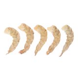 Peeled & Deveined 21-25 Wild Indonesian Shrimp