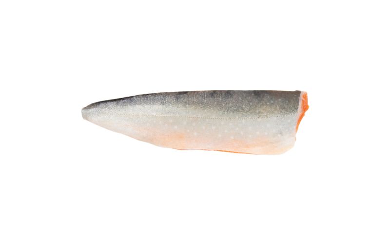 Skin On Pinbone Out Farmed Artic Char Filets