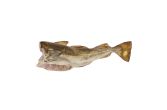 Whole Wild Atlantic Cod