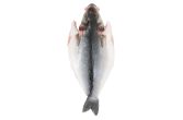 Butterflied Farmed Loup De Mer Branzino