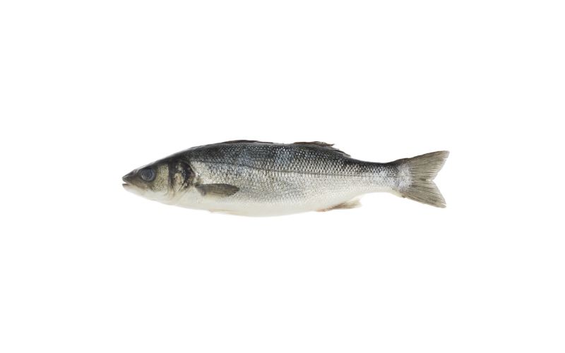 Whole Farmed Loup De Mer Branzino