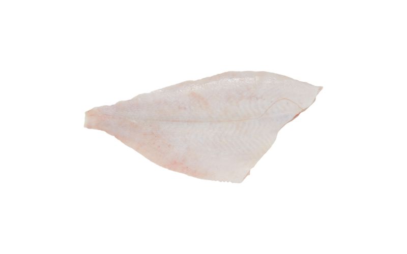 Skin On Pinbone Out Wild Long Island Fluke Filets