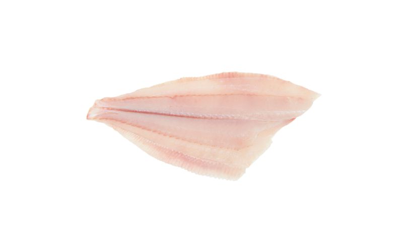 Skin On Pinbone Out Wild Long Island Fluke Filets