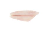 Peeled Wild Long Island Fluke Filets