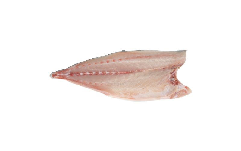 Skin On Pinbone In Farmed Frozen Hamachi Filets