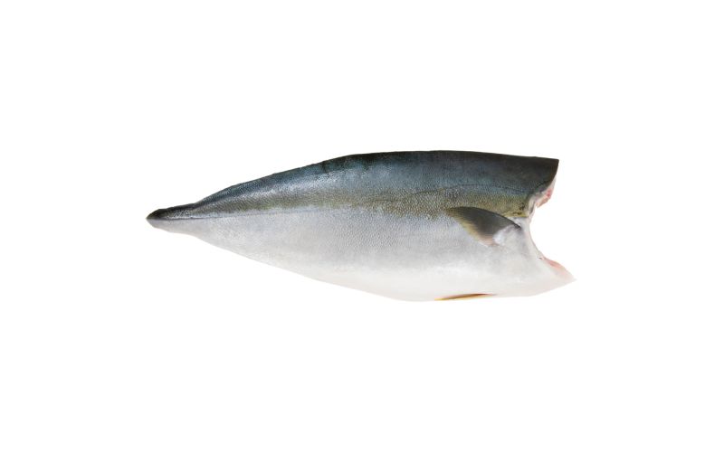 Skin On Pinbone In Farmed Frozen Hamachi Filets