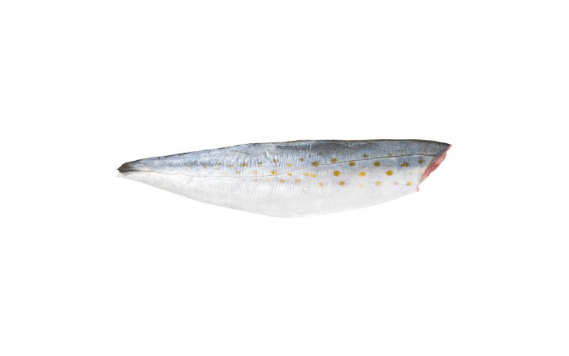 Skin On Pinbone In Wild Spanish Mackerel Filets