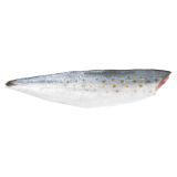 Skin On Pinbone Out Wild Spanish Mackerel Filets