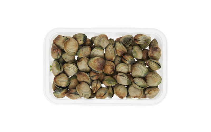 Farmed Cockle Clams