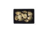 Farmed Littleneck Clams