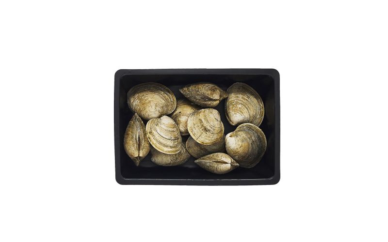 Farmed Littleneck Clams