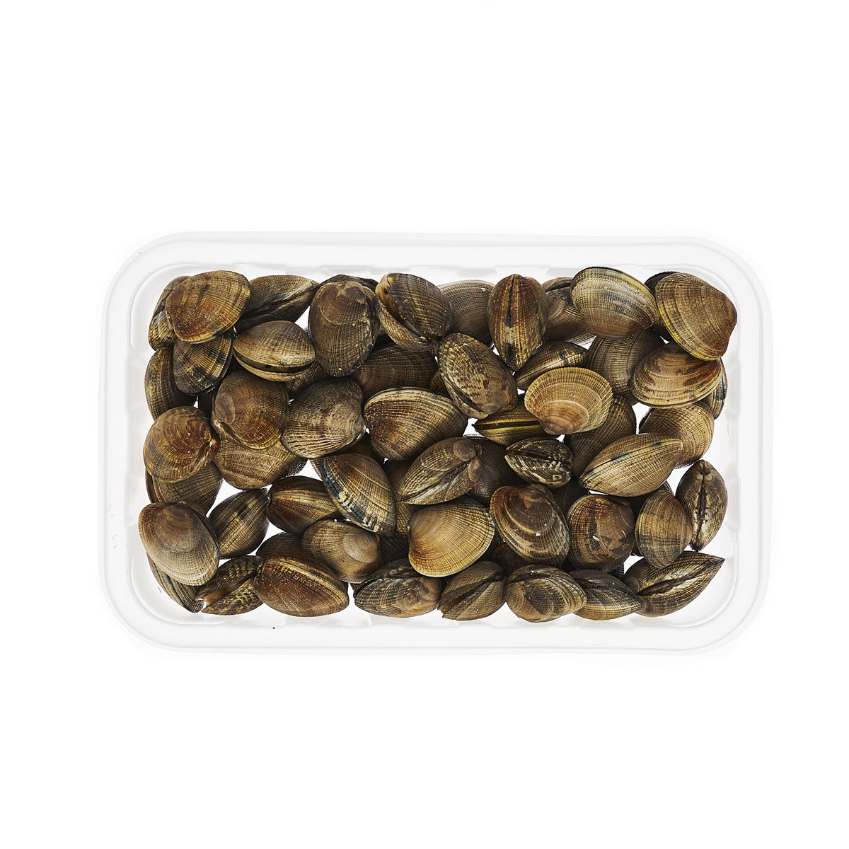 Farmed Manilla Clams | Manilla Clams | Pierless Fish