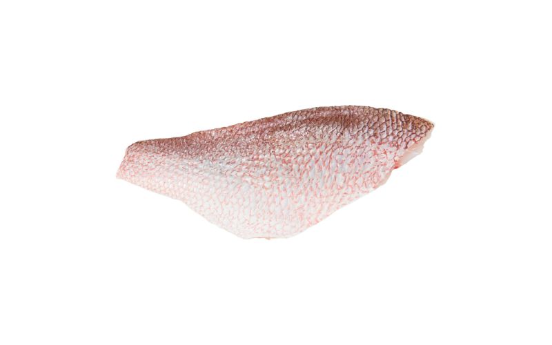 Skin On Pinbone In Wild Red Snapper Filets