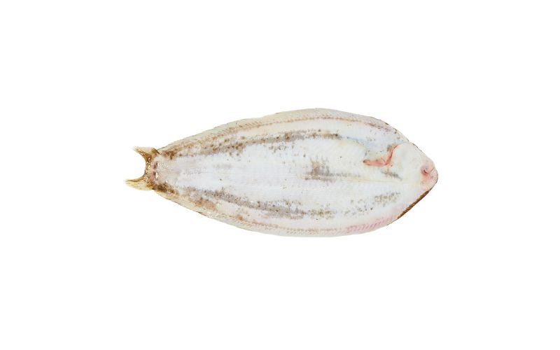 Whole Farmed Dover Sole