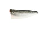 Skin On Pinbone In Farmed Scottish Salmon Filets