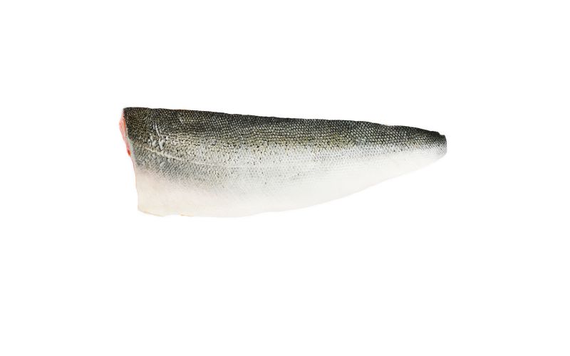 Skin On Pinbone In Farmed Scottish Salmon Filets