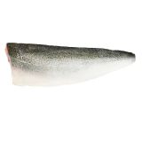 Skin On Pinbone In Farmed Scottish Salmon Filets