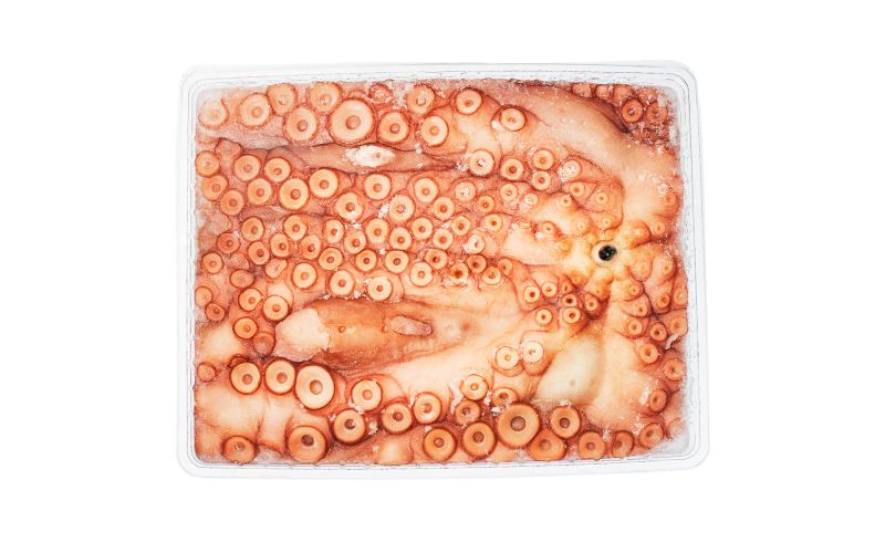 Whole Wild Octopus