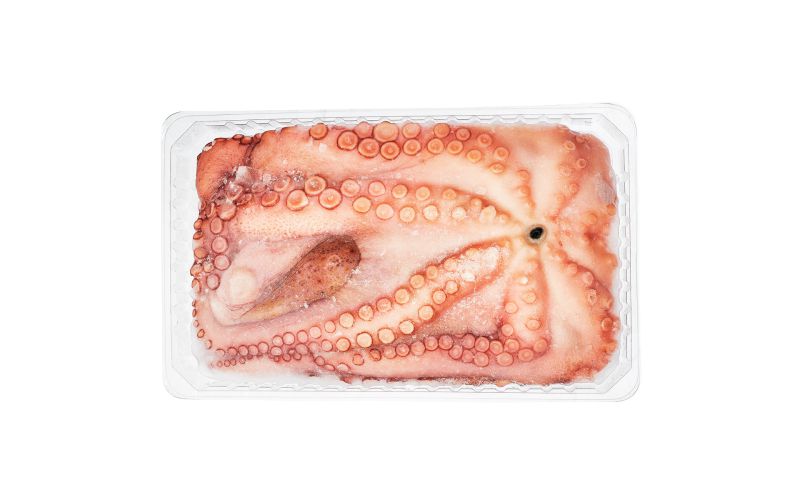 Whole Wild Octopus