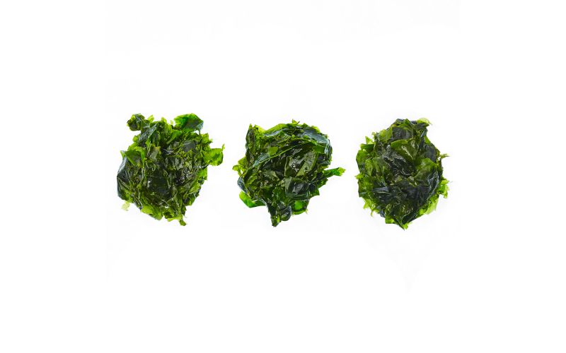 Edible Sea Lettuce Seaweed