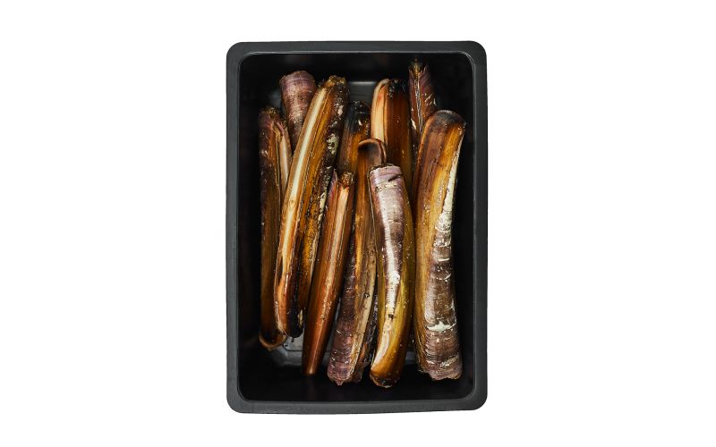 Wild Razor Clams