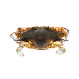 Wild Hotel Soft Shell Crabs