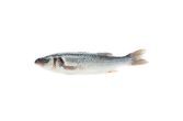 Scale & Gut Farmed Loup De Mer Branzino