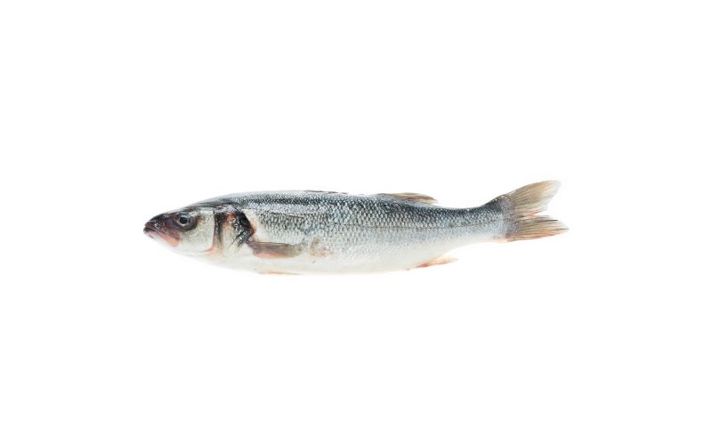 Scale & Gut Farmed Loup De Mer Branzino