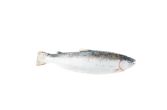 Scale & Gut Farmed Scottish Salmon